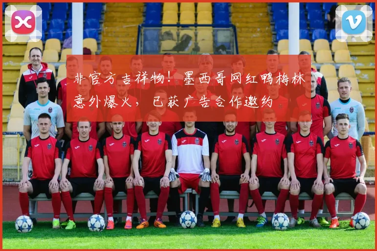 非官方吉祥物！墨西哥网红鸭梅林意外爆火，已获广告合作邀约