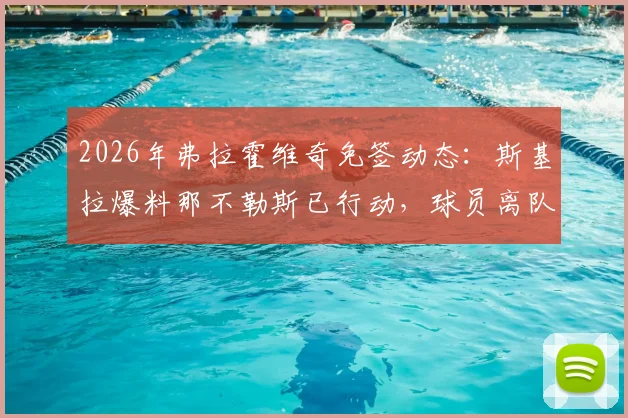 2026年弗拉霍维奇免签动态：斯基拉爆料那不勒斯已行动，球员离队可能性与潜在下家分析